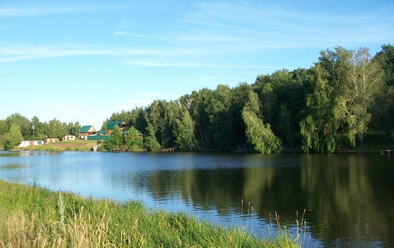 Бамбуровка