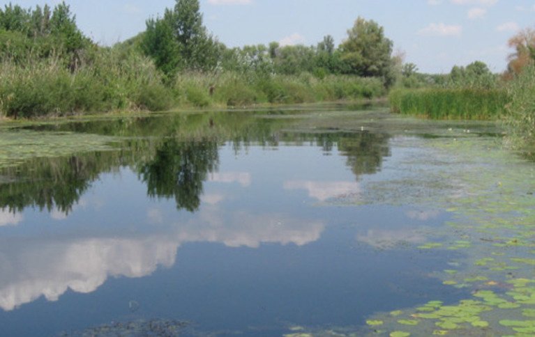 Барс