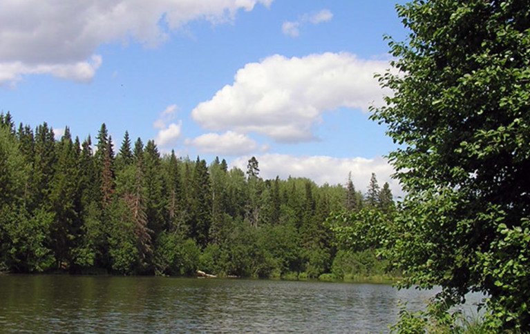 Байкузино