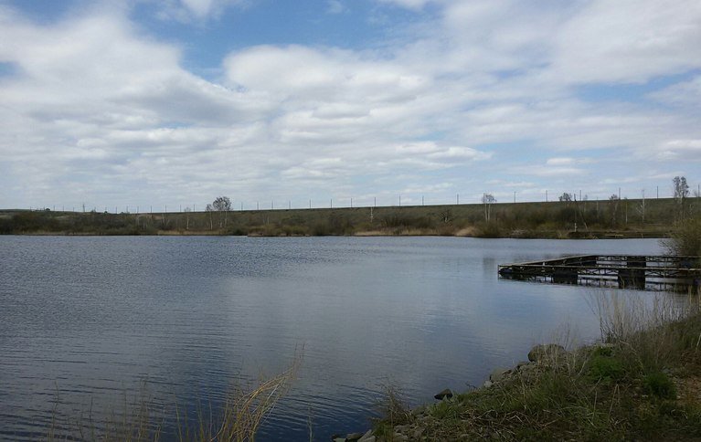 Белуга