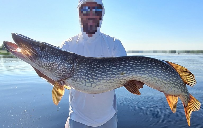 BigPike