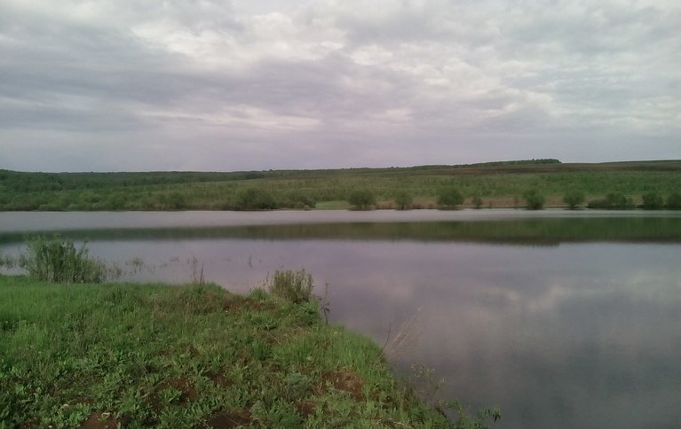 Буденновский карпятник