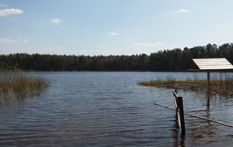 Черное