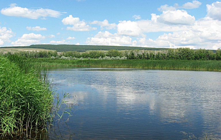 Черноморец