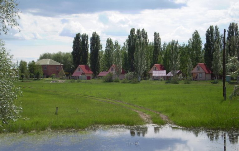 Энергетик