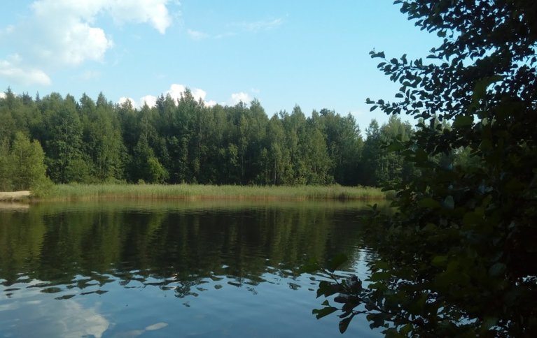 Есинские пруды