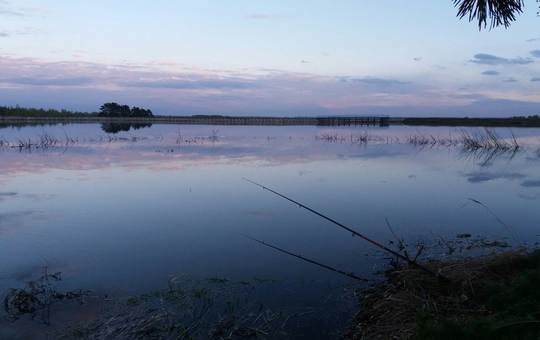 Ежово