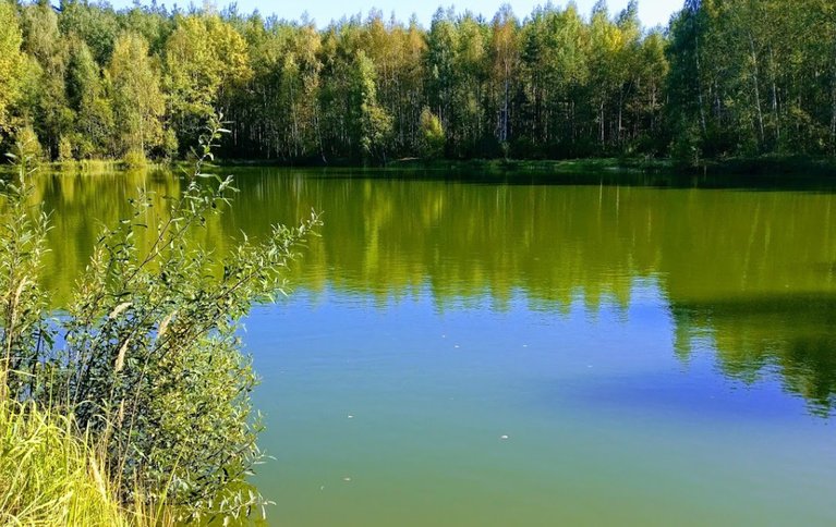 Фалькон