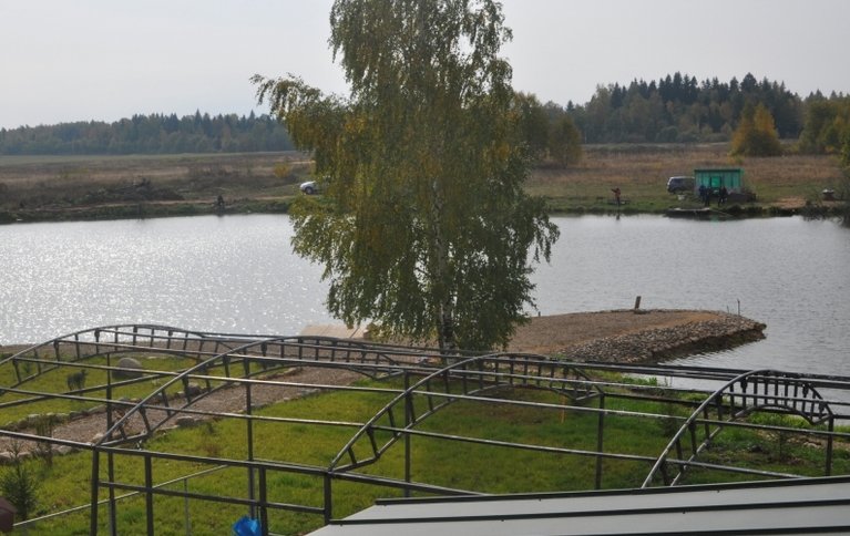 FishCamping