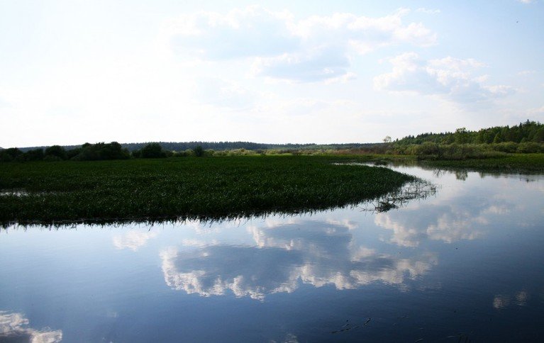Фрол