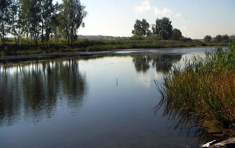 Глазово
