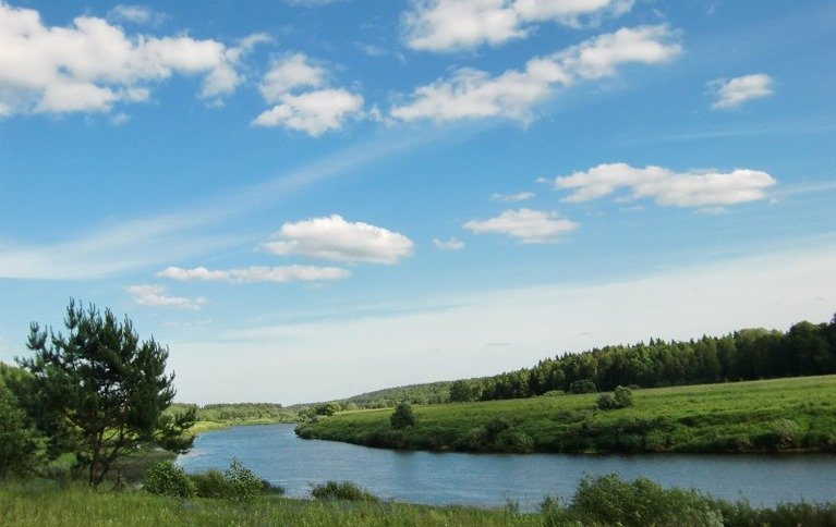Гнездо