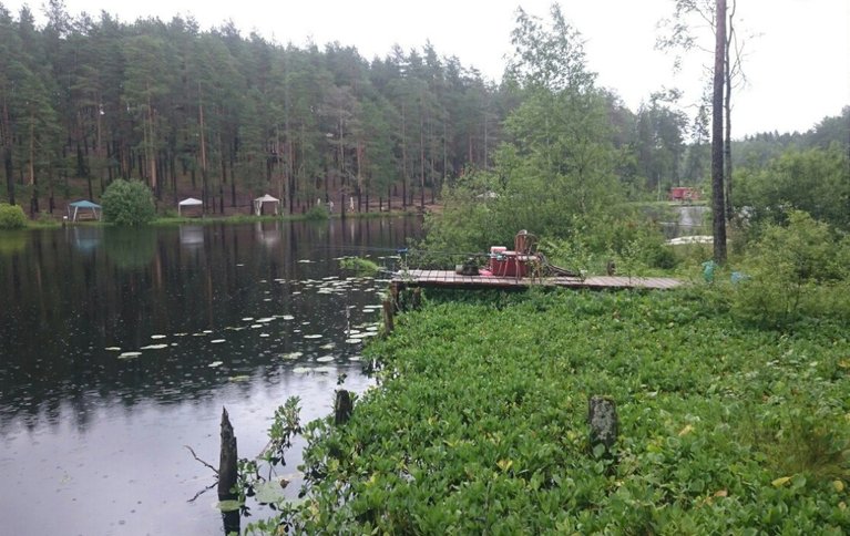 Greenvald Fishing