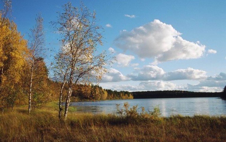 ИП Четвертев В.В.