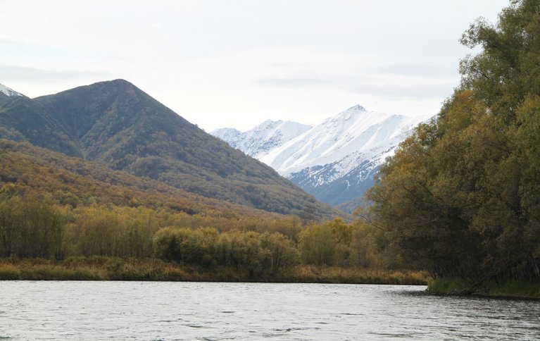 Камлес