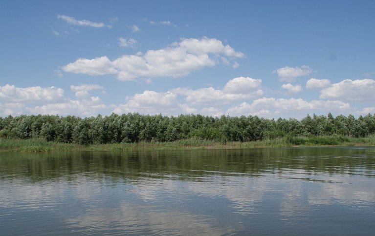 Каспийский плав