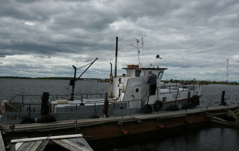 Кедр