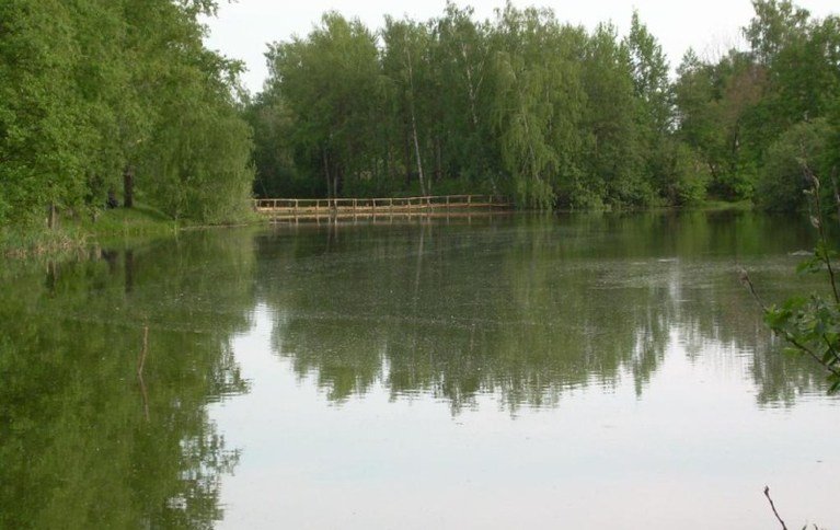 Клёвое место в Морозово
