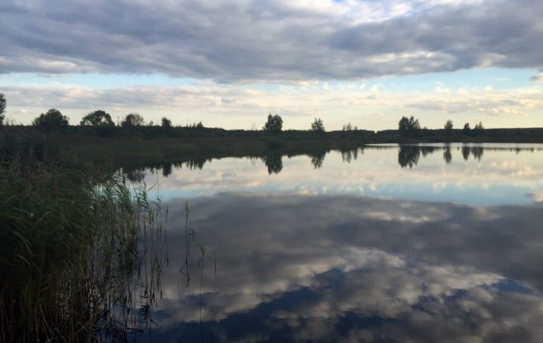 Княжево