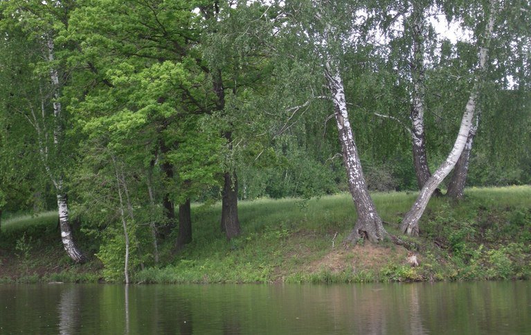 Королевка