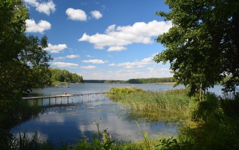 Ковчег