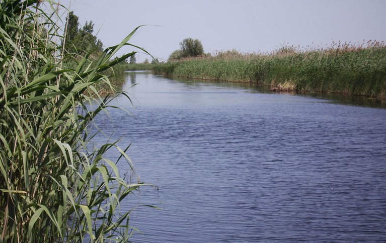 Ковчег
