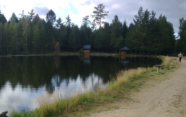 Кутырь