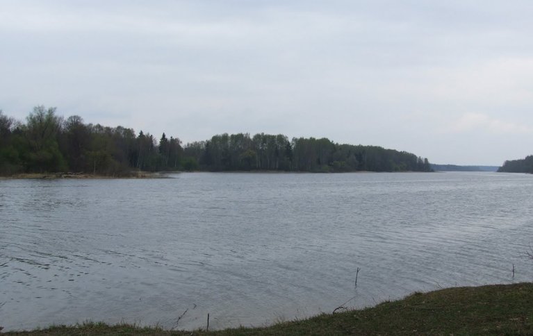 Лебедь