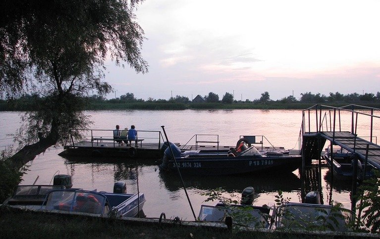 Лебедь