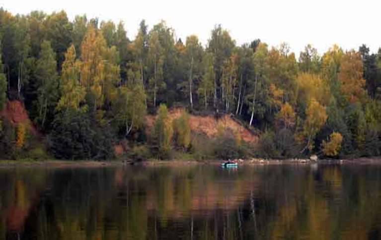 Лесная деревня