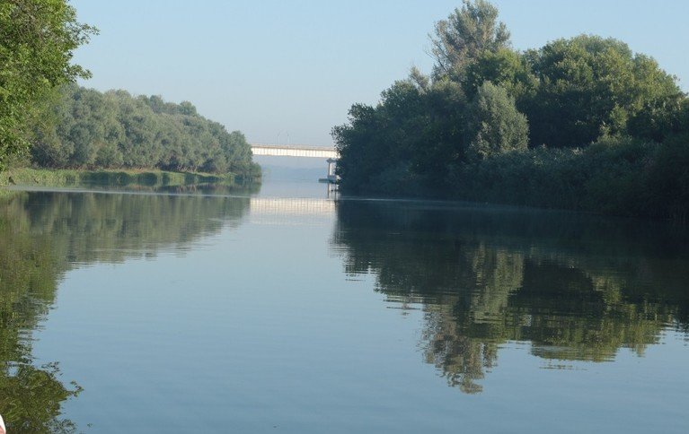 Лесная
