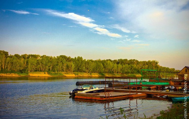 Летучая рыба