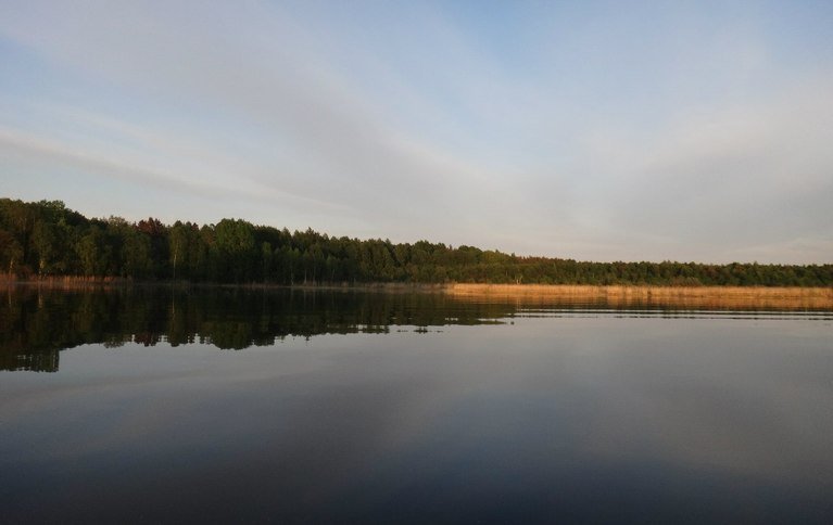 Лонгасы