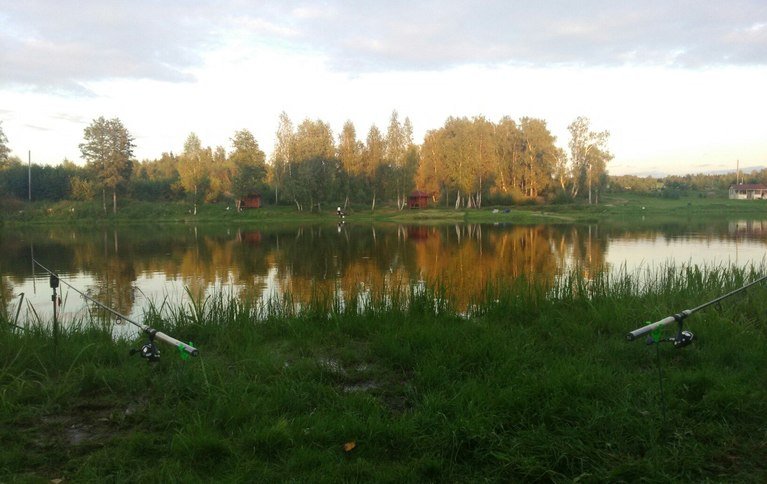 МосФишер. Высоково