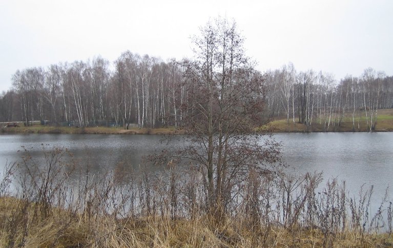 На речке Злодейка