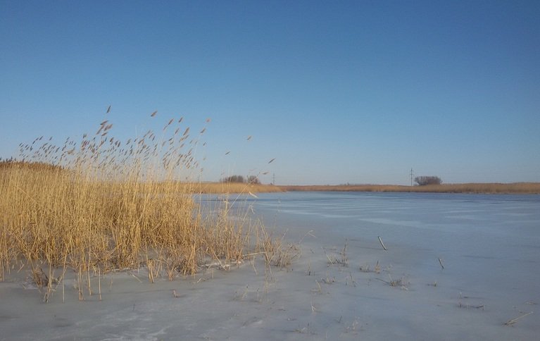 Ниновка