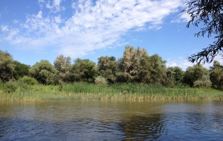 Новинская
