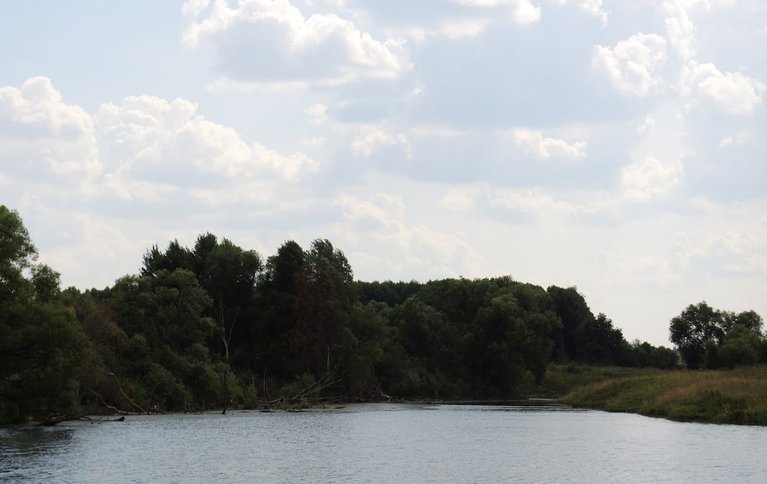 Острога