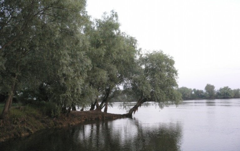 Остров Тепленький