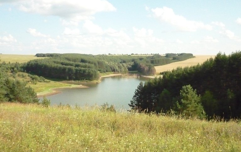 Платиновый карп