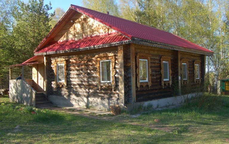 Подсолнухи