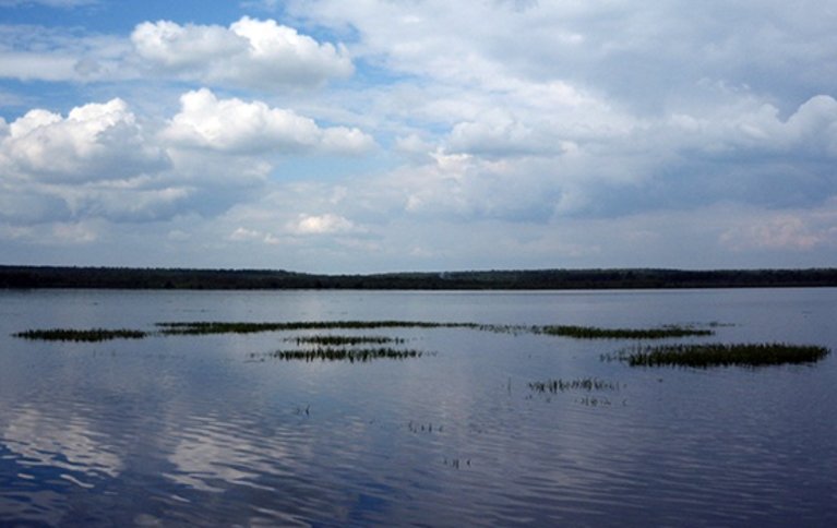 Полецкое