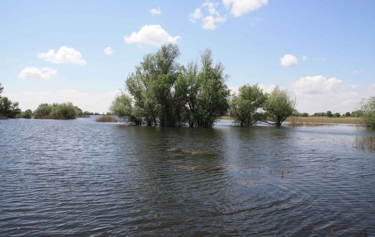 Пристань рыбака
