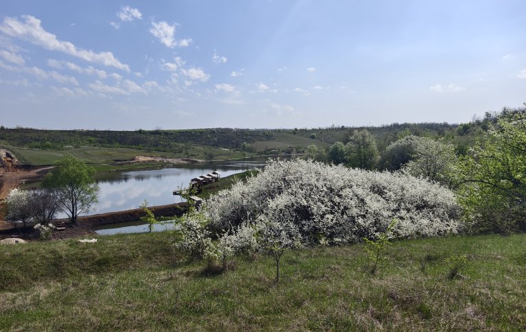 Лещ Толстой