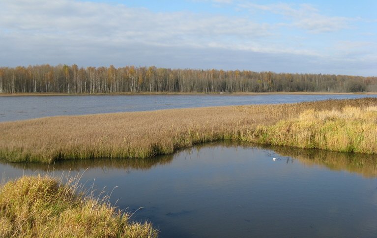 Раздобарино