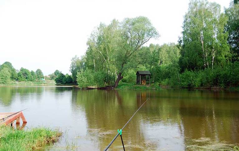 Репниково