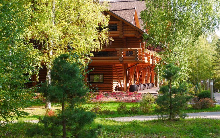 Романов лес