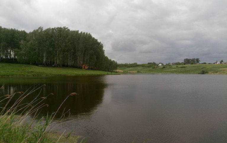 Романовский пруд