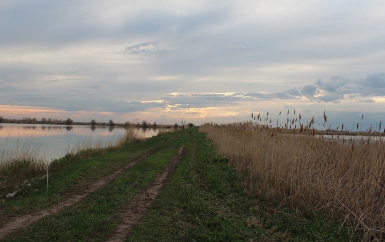 Рыбачок