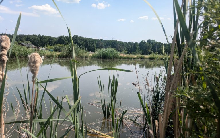 Казанцево